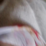 ������� � ����