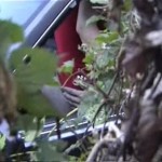 ������� ����� ������� � ������