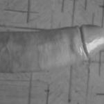 � � ��� ����