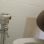 �������� ����������