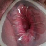 �������������� ����