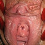 �������� ����������