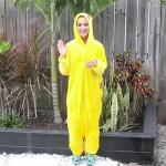 ������ ��������