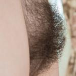 �������� ��������� ���������