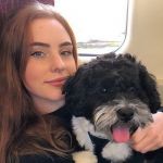 ����� ����.