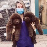 ������������ �����.