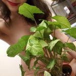 "�����" � ������.