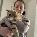 ��������� �� ������.