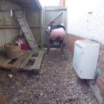 ������� ����� � �������.