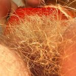 ����������� �������� "��������".