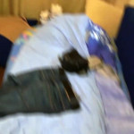 ����� �� ����.