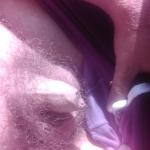 ��� �������� ��������