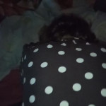 ���� ����� �����..