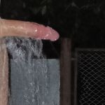 ������ ��������� �����