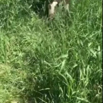 �������� �������� � �������