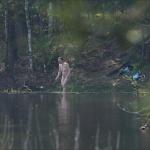 ���� ����� �����