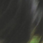 ������ ���������