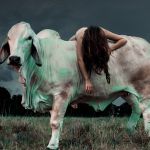 ��� � ���������