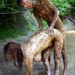 ������� ����