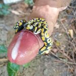 �� ����� �� �����