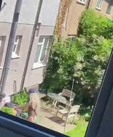 ���������� ����� ������� �� ����� ���� ������ ������