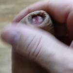 �������� �������