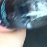 ���� ��������