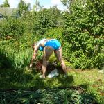 ����-�������.