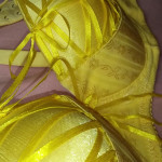 ���� ���� �� ������