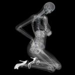 ������� � �������