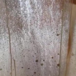 ������� ���� � ����