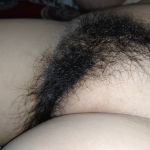 �������� ���� ��������