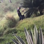 �������� �� ������