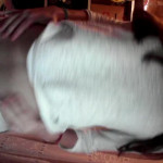 ������� ���������