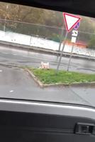 ����������� �� �������