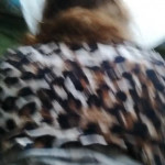 ������� �� ������