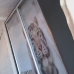 ����� ��������� ������