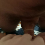 ������ ���� ��������