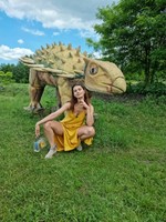 � ������ ������