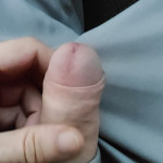 ������� � ��������