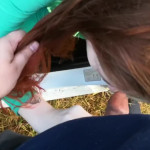 ����� ����������������