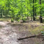 �� �������� � �����