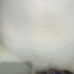 �������� ����, ����� �� ������