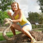 �������� �������