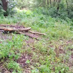 ����������� �� �������