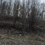 �� �������