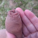 �� ����� ����� ����