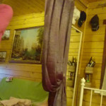 ���� �� ���� ����� ����� ����� ����