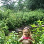 ���� � ������ � ����