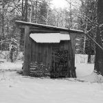 ����������.